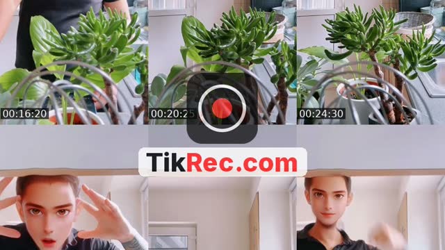 TikTok live: Galaxy for Twitter by @galaxyforx
