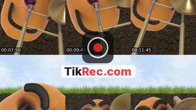 @regis_divina TikTok live