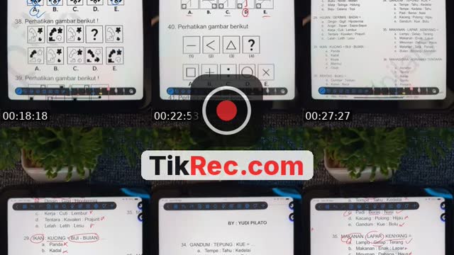 @yudipilato TikTok live from 2026-08-28