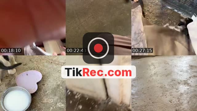 TikTok live: توكلت ع الله في رزقي by @jana.ali.assmaa