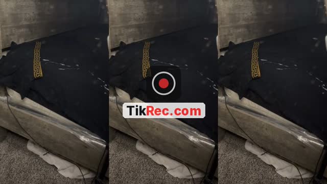 @alexander.s213 TikTok live