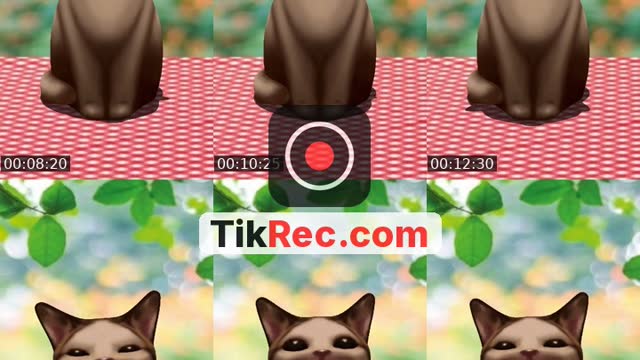 @_57391 TikTok live