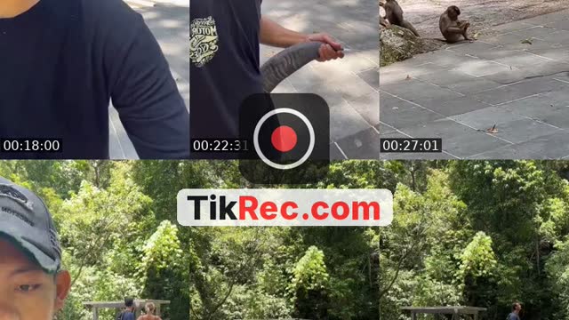 @detimmanik8 TikTok live from 2026-08-29
