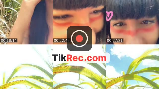 TikTok live: Selva by @mavis_indiazinha