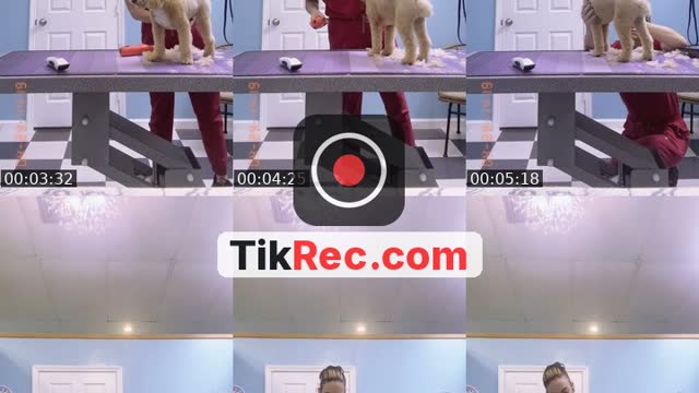 @olderisbetter4u TikTok live
