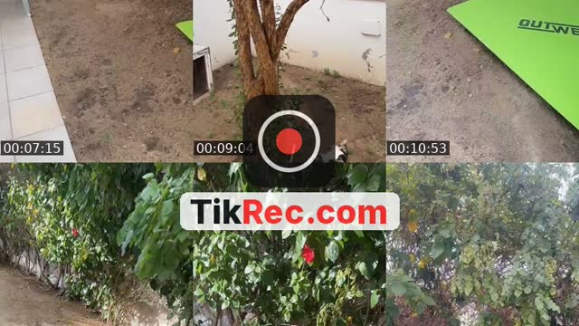 @nazekmeuble1 TikTok live from 2026-08-28