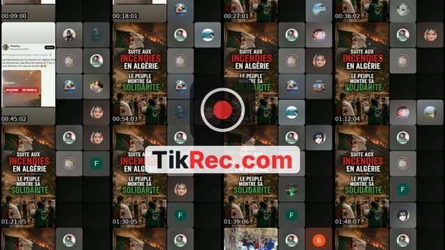 @wahren_dz France TikTok live from 2026-08-28
