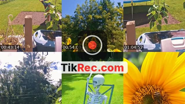 TikTok live: ✌️VIBIN✌️ by @vibinvee