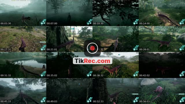 TikTok live: Lets Go LIVE! by @shxgsin