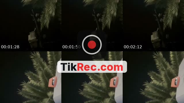 @mintnymiminn TikTok live