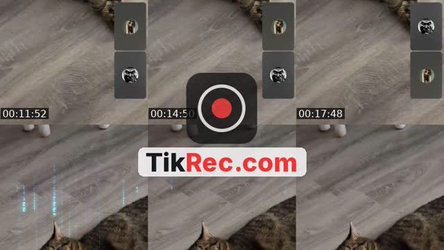 @eurekaeurek TikTok live