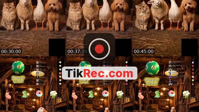 TikTok live: Qual Melhor Interação PET? 🚜💨 by @wezlen.goncalves