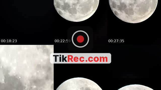 @monsters_asylum TikTok live