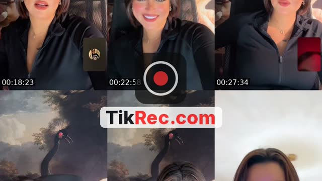 @doktourafelhob TikTok live