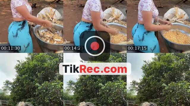 @dannylu250 TikTok live from 2026-08-29