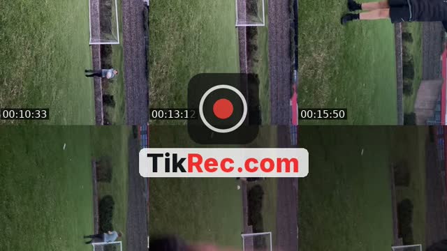 TikTok live: Doing Dares by @aepalmtree