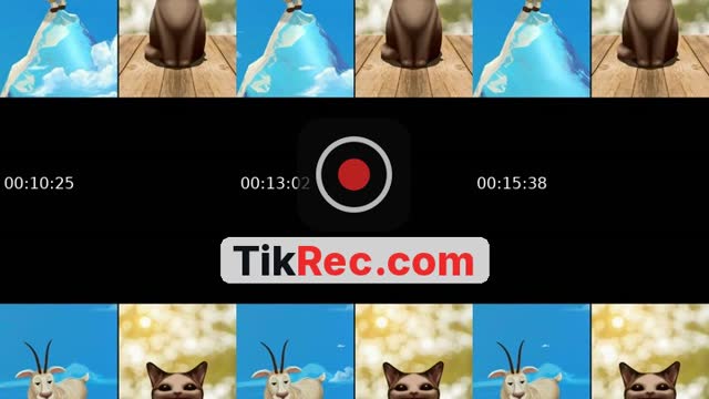 @goten2424 TikTok live