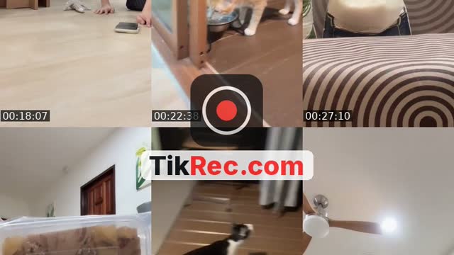 TikTok live: ฝนตกทั้งวันสะจัยยย by @tuazorfamily
