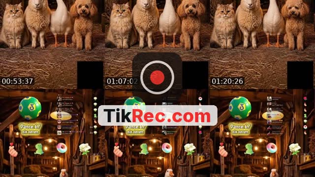 TikTok live: Nossos pets estão esperando 🚜💨 by @wezlen.goncalves