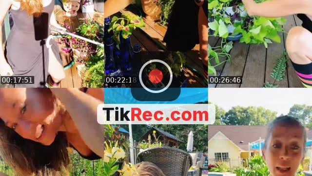@bsgardening TikTok live from 2026-08-29