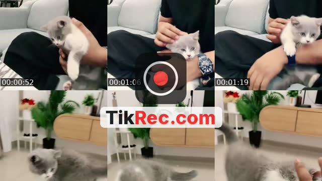 @loyy_ahmad TikTok live