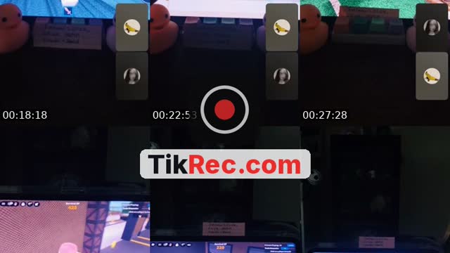 TikTok live: mm2- i dont trade by @amy_taylorsversion13