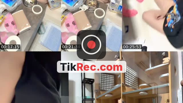 Japan TikTok live: 風呂入ってないごめん🛁 by @urea_tokyo
