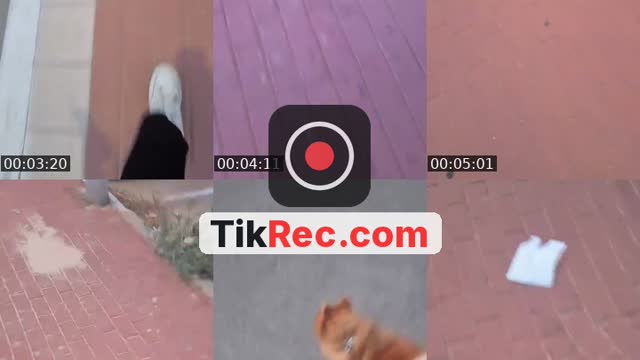 @user3602409139736 TikTok live
