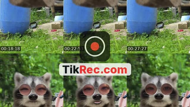 @_57391 TikTok live