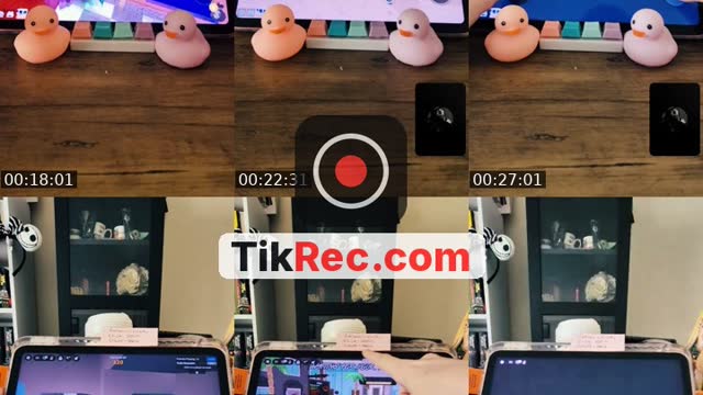 TikTok live: mm2- i dont trade by @amy_taylorsversion13