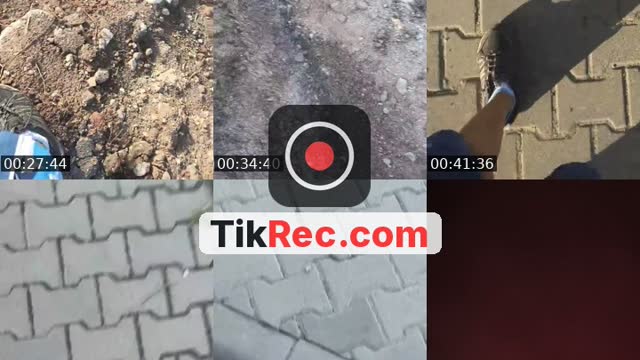 moim marzeniem jest róża - @kuba_67670