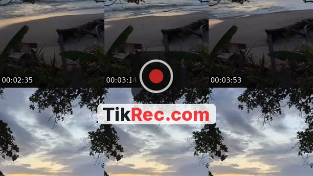 TikTok live: Saturday Vibes by @lozanowins