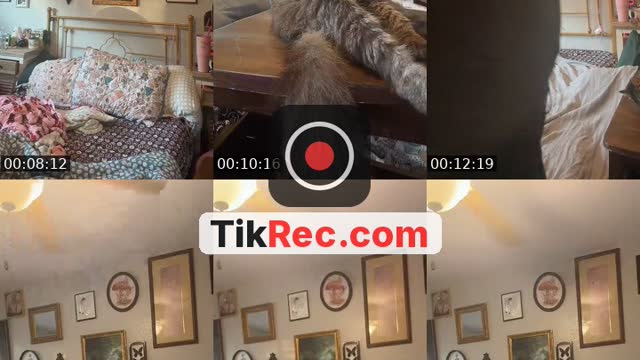 @scarletroselover TikTok live from 2026-08-30