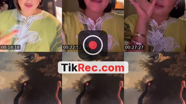 @doktourafelhob TikTok live