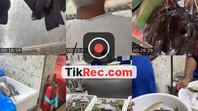 @za.zau1 TikTok live from 2026-08-30
