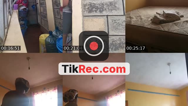 TikTok live: 9870163 buy goods by @vennessabby