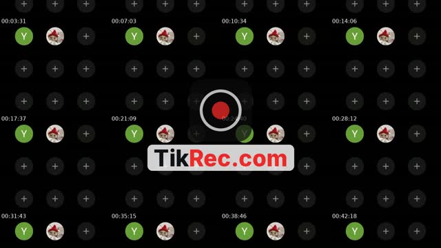 @y057332 TikTok live from 2026-08-30