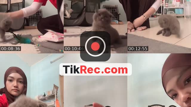 TikTok live: Lets Go LIVE! by @dear_mickey
