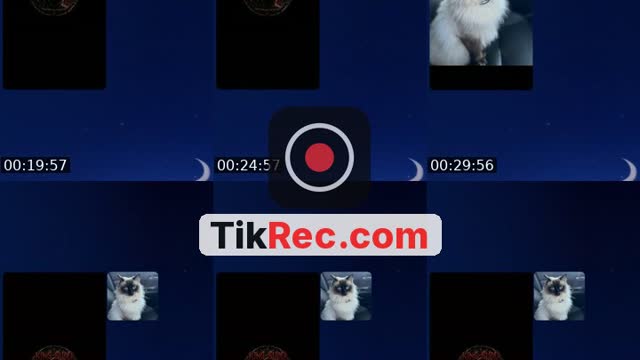 @chaiwithhoneyy TikTok live