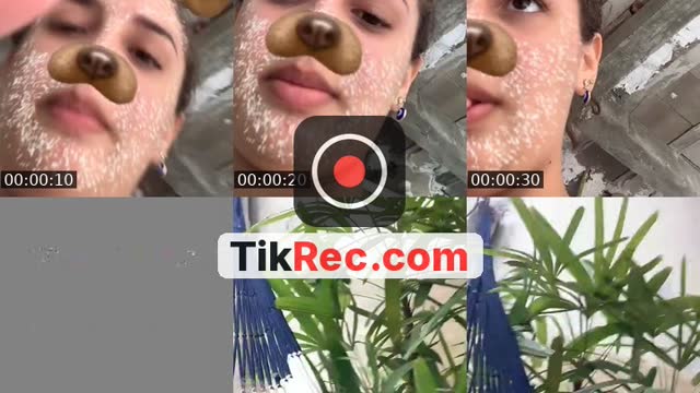 @s.llayanne02 TikTok live