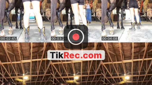 @janelleesoto TikTok live