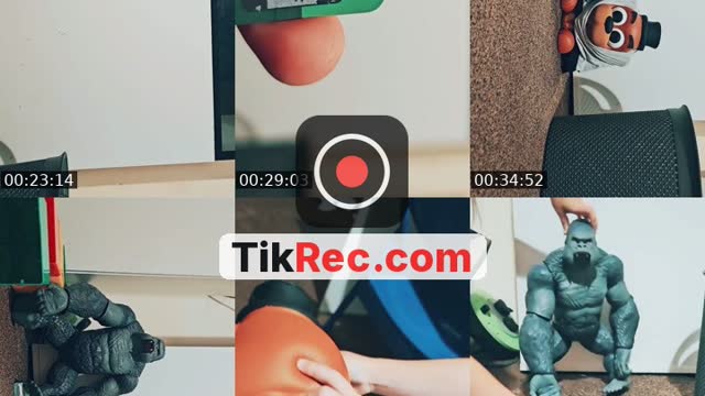 TikTok live: hi by @igorwolicki