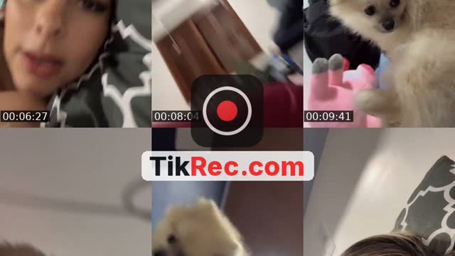 @manuella.quadros TikTok live