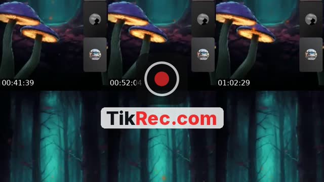 @user321895973 TikTok live from 2026-08-31