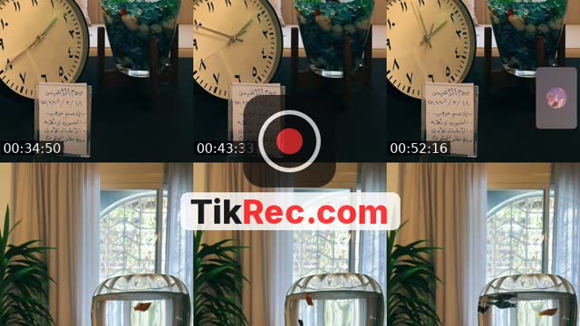 Saudi Arabia TikTok live: قستات ١٤٤٨/٣/١٨ هـ by @ammalysr