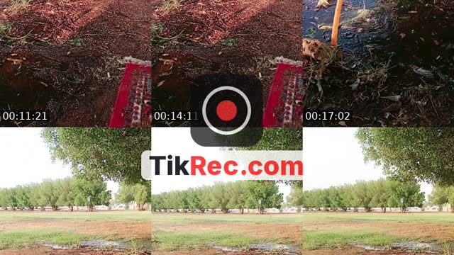 @kkrg72 TikTok live