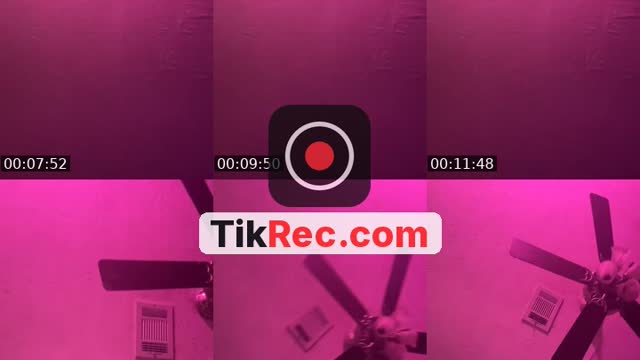 @kamikazikk TikTok live from 2026-08-31