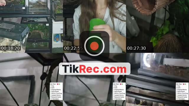 United States TikTok live: WARNING EXOTIC PETS-(I'm 19) by @skys.animal.zoo