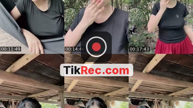 @gattgwij55 TikTok live