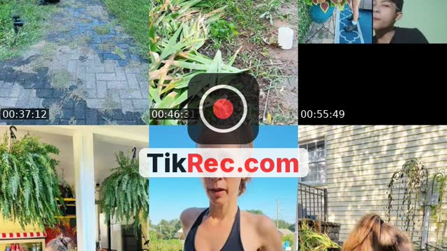@bsgardening TikTok live from 2026-09-01